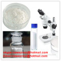 4-Chlorotestosterone Acetate(Turinabol)   CAS:855-19-6  99%High PuritySteroids